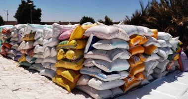 محافظ أسوان يتابع توريد كميات القمح: استلام 13 ألفا و326 طنا حتى الآن‎‎