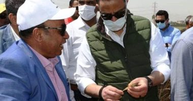 محافظ الفيوم يتفقد أعمال توريد القمح المحلي بصومعة طامية.. صور