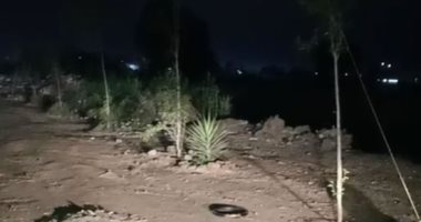 انقلاب سيارة ملاكي بترعة فى الدقهلية وإصابة السائق وزوجته 