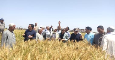 النائبة رشا فايز كليب تلتقى مُزارعى القمح بأبوحمص فى محافظة البحيرة