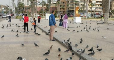 حمام السلام يزين ميدان الشهداء ببورسعيد فى ذكرى تحرير سيناء.. لايف وصور