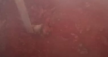 لحوم بأشكالها وكل ما تشتهى الأنفس على مائدة الشباب بكفر الشيخ.. لايف