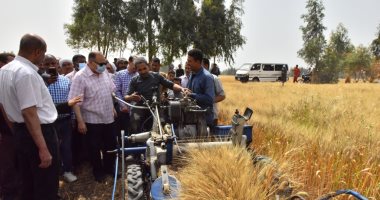محافظ أسيوط يعلن توريد 227 طن قمح لـ30 شونة ومركز تجميع منذ بدء موسم التوريد