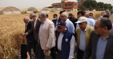 وزير الزراعة: السعة الإجمالية لصوامع القمح ارتفعت 4.5 مليون طن خلال 9 سنوات