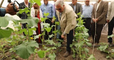 وزير الزراعة ومحافظ القليوبية يتفقدان صوب المشروع القومى لإنتاج التقاوى فى قها