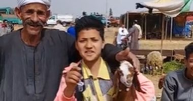 اعرف ازاى تشترى خروف من سوق الثلاثاء بالشرقية.. فيديو