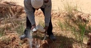 مركز بحوث الصحراء بالوادى الجديد يستكمل تنفيذ مشروع المدارس الحقلية.. صور 