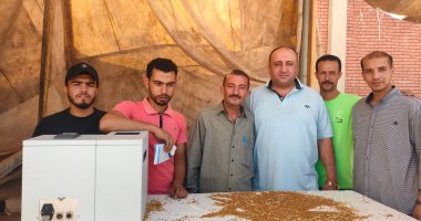 ألف طن قمح فى يوم واحد.. ازدهار موسم توريد الذهب الأصفر بصوامع الشرقية "فيديو"