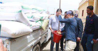 استلام 204 آلاف و292 طن قمح بـ25 موقعا بكفر الشيخ