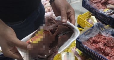 ضبط 2.5 طن سردين مملح ودواجن غير صالحة للاستخدام بالمنوفية.. صور