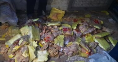 بيطرى الأقصر تحرر 20 محضرا منها 10 أطنان مجمدات غير صالحة للاستهلاك خلال أبريل