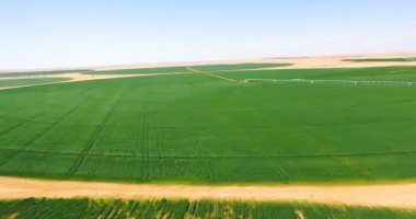نقيب الزراعيين: لولا شبكة الطرق لما تمكنا من استصلاح أراضٍ جديدة في توشكي 