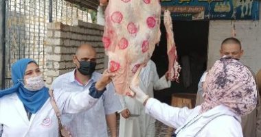 "بيطرى الشرقية" يضبط 535 كجم لحوم وأسماك ورنجة مخالفة قبل عيد الفطر 