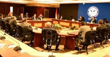 المالية: حزمة إجراءات استثنائية لتيسير الإفراج عن الواردات.. فيديو