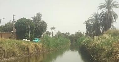 وجع القلب.. نزل ينقذ أخوه مات معاه.. مصرع شقيقين غرقا فى ترعة بقنا (لايف)