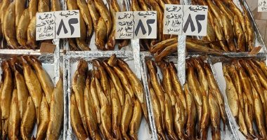 بث مباشر.. الفسيخ بـ140 جنيها والرنجة بـ42 فى سوق الحقانية بالإسكندرية