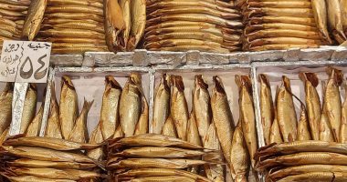 مع حلول عيد الفطر.. جولة بأسواق الإسكندرية للأسماك المملحة