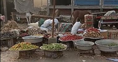 جولة فى أسواق بنى سويف.. البطاطس والباذنجان بـ7 جنيهات والشطة بـ15