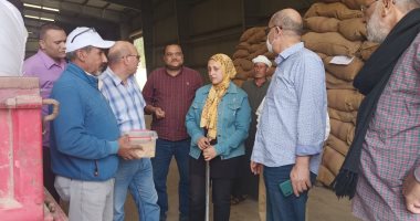 محافظ الدقهلية: 36 موقعا لاستقبال القمح بسعة تخزينية 265 ألف طن