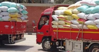 صوامع وشون الشرقية تستقبل 13062 ألف طن و169 كيلو قمح