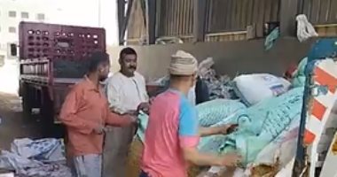القمح نوّر صوامع مصر.. استمرار توريد المحصول فى القليوبية.. لايف