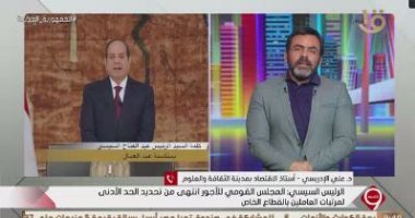 أستاذ اقتصاد: الحد الأدنى للأجور بالقطاع الخاص ينعكس إيجابيا على مستوى المعيشة