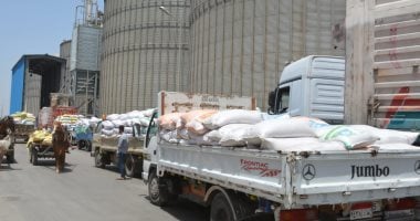 محافظ القليوبية: توريد 2500 طن قمح للصوامع والشون حتى الآن.. صور