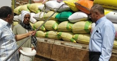 محافظ أسيوط: توريد 2129 طن قمح بالشون والصوامع حتى اليوم