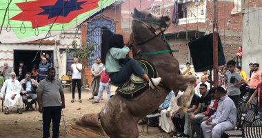 ارقصى واتمايلى يا خيل.. رقص الخيول بفرح شعبى مع نور وأبوها بالدقهلية.. لايف