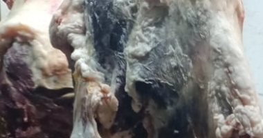 النيابة تتحفظ على 33 طن لحوم غير صالحة للاستخدام قبل ترويجها بالإسكندرية