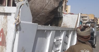 رئيس مدينة الأقصر يتفقد منظومة النظافة بالشوارع خلال إجازة العيد.. صور