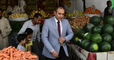 السكرتير العام المساعد بقنا يتفقد مشروعات حياة كريمة بفرشوط