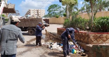 حملات نظافة بمدن وقرى كفر الشيخ ورفع كفاءة الإنارة.. صور