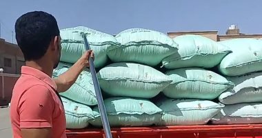 55 صومعة وشونة تستقبل الذهب الأصفر بالشرقية.. مدير الصوامع المتطورة: هدفنا الحفاظ على كل حبة قمح.. ومزارع: الصوامع الحديثة احتفظت بالمحصول.. ويؤكد: كنا نحزن عليه فى الماضى لإهداره فى التراب والحشرات.. صور