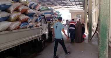 توريد 33 ألفا و193 طنا من الذهب الأصفر لصوامع كفر الشيخ