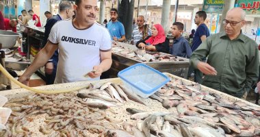 الشبار بـ30 واللوت بـ80 والجمبرى بـ120 جنيها.. جولة بسوق أسماك إسماعيلية.. لايف