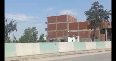 جه يسلك الخناقة فمات.. مقتل مهندس زراعى تدخل لفض مشاجرة بين جيرانه بالشرقية