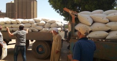 تموين الأقصر: توريد 1436 طن قمح للشون والصوامع بنسبة 4.22% من السعة التخزينية