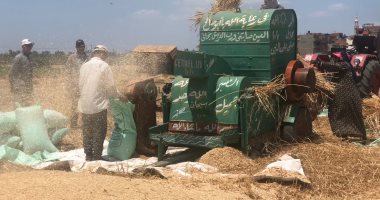 بعد عملية الحصاد.. شاهد فرحة الفلاحين في الدقهلية بدراس محصول القمح