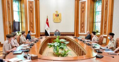 الرئيس السيسي يتابع موقف مشروعات الإنتاج الزراعى فى توشكى والدلتا الجديدة