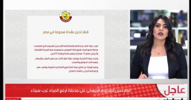 إدانة واسعة للهجوم الإرهابى على إحدى محطات رفع المياه بغرب سيناء.. فيديو