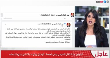 الرئيس السيسي يتوعد باقتلاع جذور الإرهاب وينعى شهداء الوطن.. فيديو