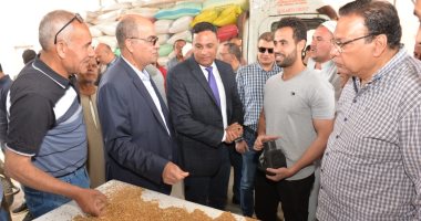 محافظ الدقهلية يتفقد توريد القمح المحلى بصوامع ميت غمر.. صور