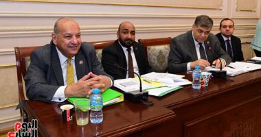 "صحة النواب" توافق على موازنات الصحة النفسية والمؤسسة العلاجية والمراكز الطبية