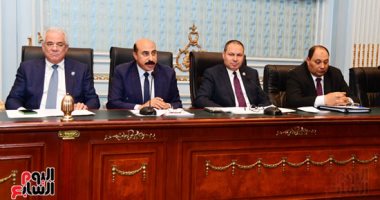 "زراعة النواب" تطالب توفير الاعتمادات المالية لتغطية مصرف السيل بأسوان 