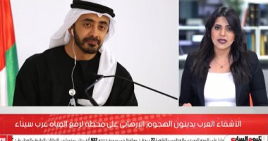 إدانة عربية واسعة للهجوم الإرهابى على محطة لرفع المياه غرب سيناء.. فيديو
