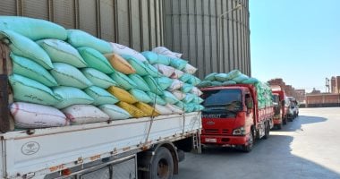 محافظ كفر الشيخ: توريد 176 ألفا و144 طنا من القمح للصوامع