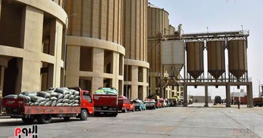 إقبال كبير على توريد "محصول الذهب الأصفر" بصوامع القمح فى كفر الشيخ.. لايف