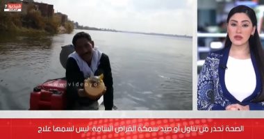 الصحة تحذر من تناول أو صيد سمكة القراض السامة: ليس لسمها علاج (فيديو)