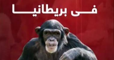 احذروا.. ظهور فيروس جدرى القرود فى إنجلترا (فيديو)